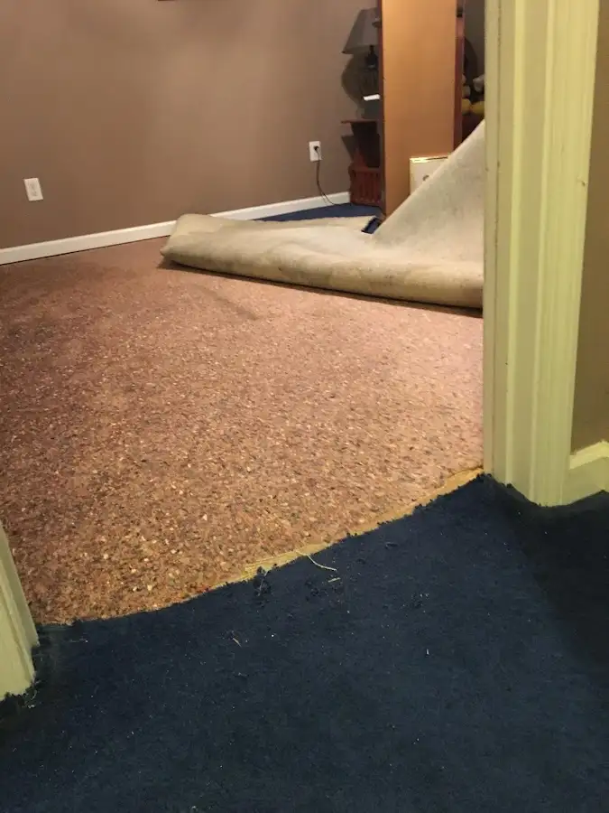 Carpet pad removal revealing water damage during Drying & Dehumidification in Honeygo