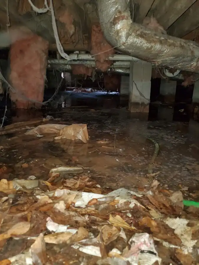 Crawl space flood assessment for Commercial Water Damage Restoration in Honeygo